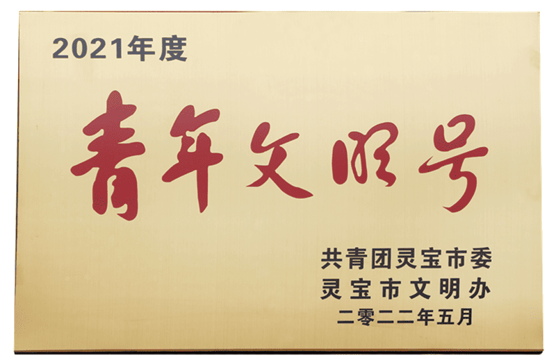 靈寶市青年文明號