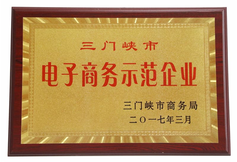  三門峽市電子商務(wù)示范企業(yè)
